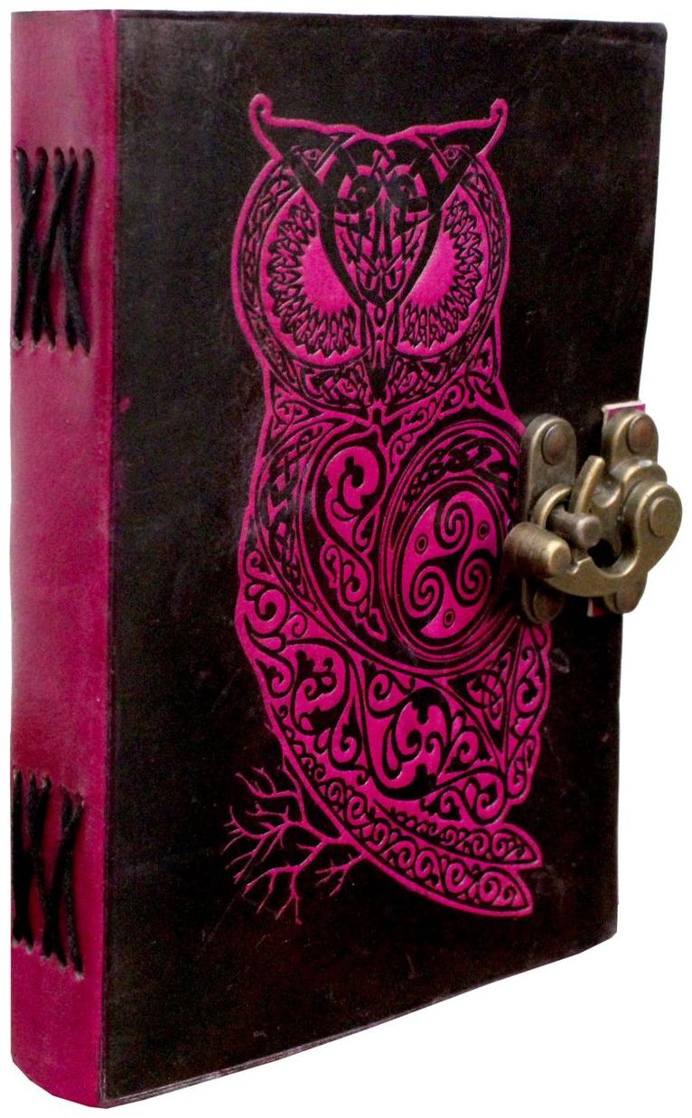 

Anshika International Pure Vintage Hunter Leather Handmade paper Notebook Diary With Metal Lock and Engraved Owl Pink Diary