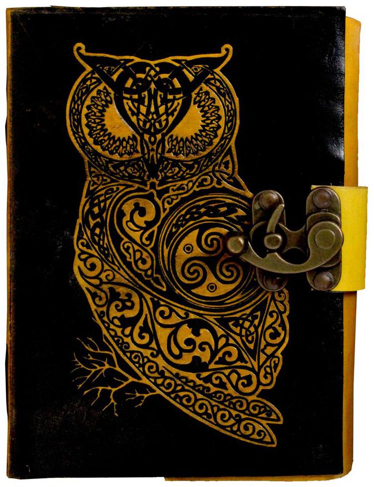 

Anshika International Pure Genuine Real Vintage Hunter Leather Handmade paper Notebook Diary With attractive Metal Lock and Engraved Owl Diary