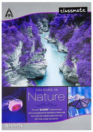 Classmate Long Notebook - A4, Soft Cover, 105 Pages, Single Line (Pack Of 12)