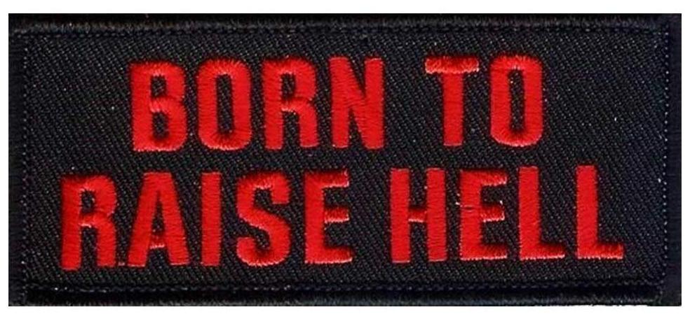 

Motohog Unique Embroidered Sew on Patch for Jacket (Born to Raise Hell Red)