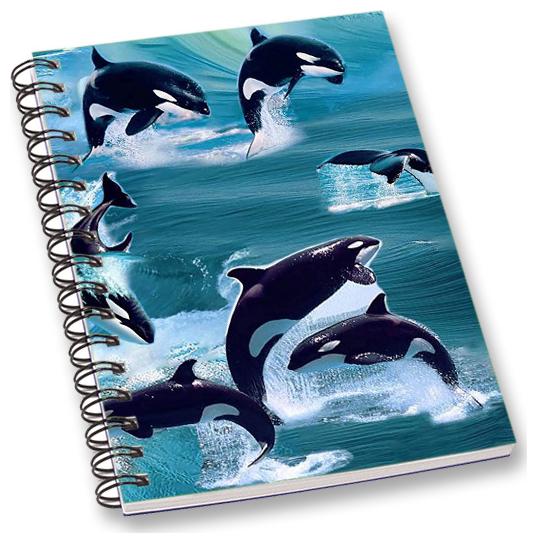 

RADANYA Dolphin A5 Notebook Wirebound Ruled Paper Diary