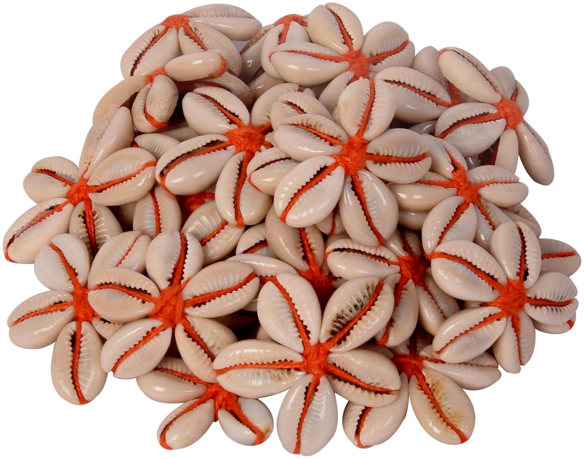 

VFS VARDHMAN Sea Shells Kowrie Hand Made Flowers 15 pcs Orange Color Used in Dresses Suits Home Decor Art Craft
