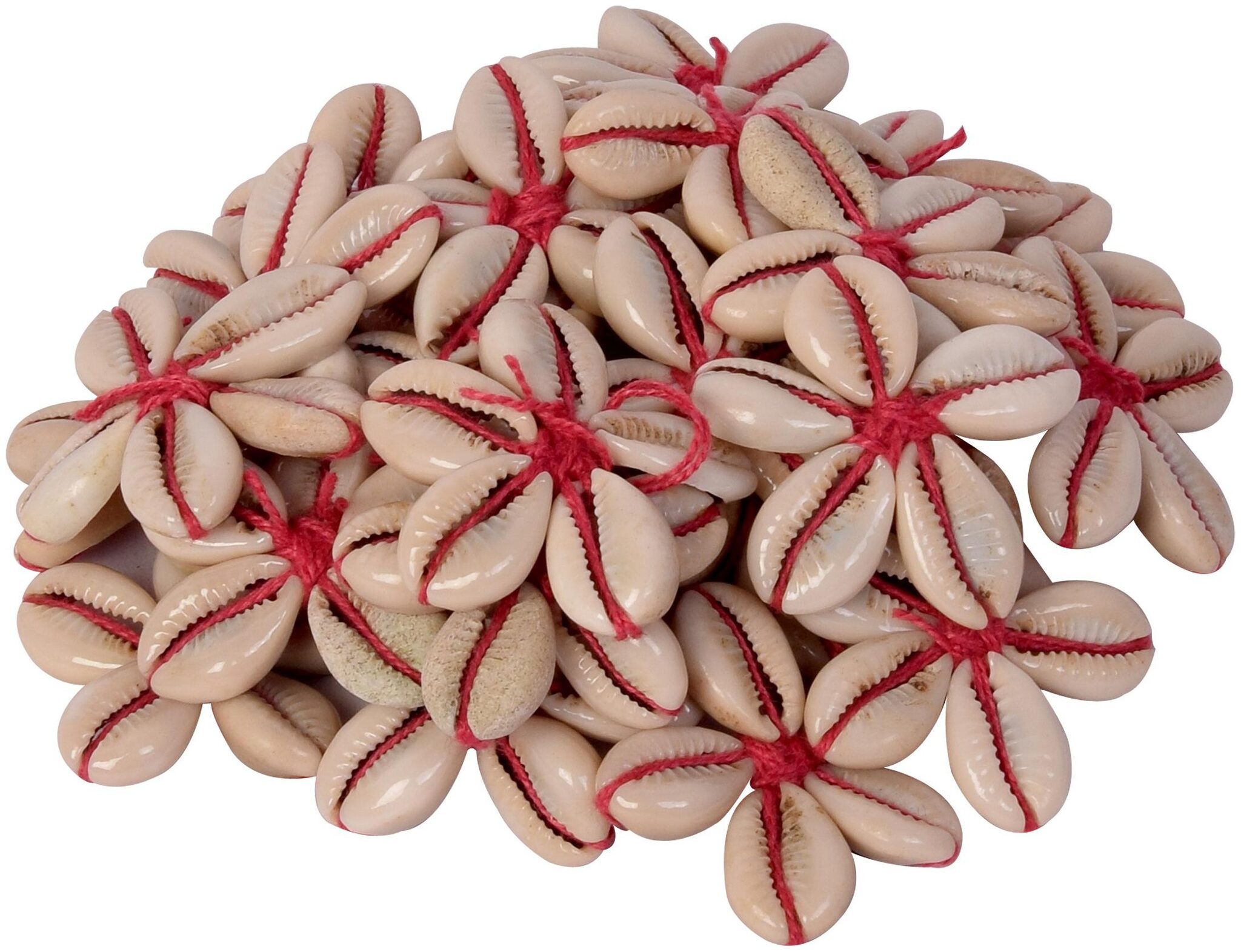 

VFS VARDHMAN Sea Shells Kowrie Hand Made Flowers 15 pcs Red Color Used in Dresses Suits Home Decor Art Craft