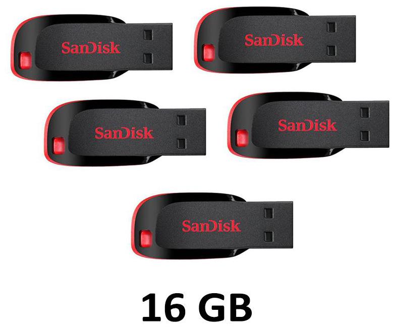 

SanDisk Cruzer Blade Pack of five 16 GB USB 2 0 Pendrive ( Black Red )