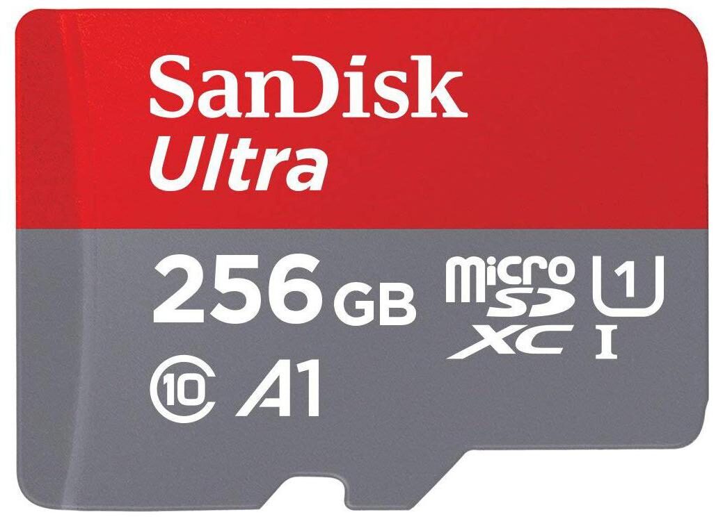 SanDisk 256 GB Class 10 MicroSD Card