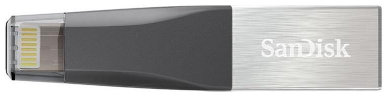 

SanDisk iXpand Mini 64 GB USB 3 0 Pendrive ( Grey )
