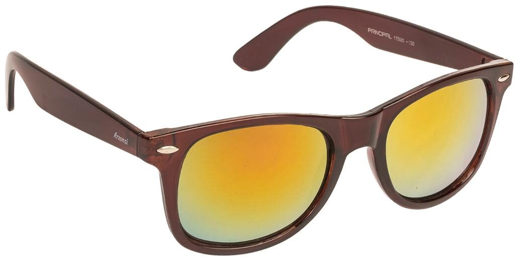 

ARZONAI Men Wayfarers Sunglasses