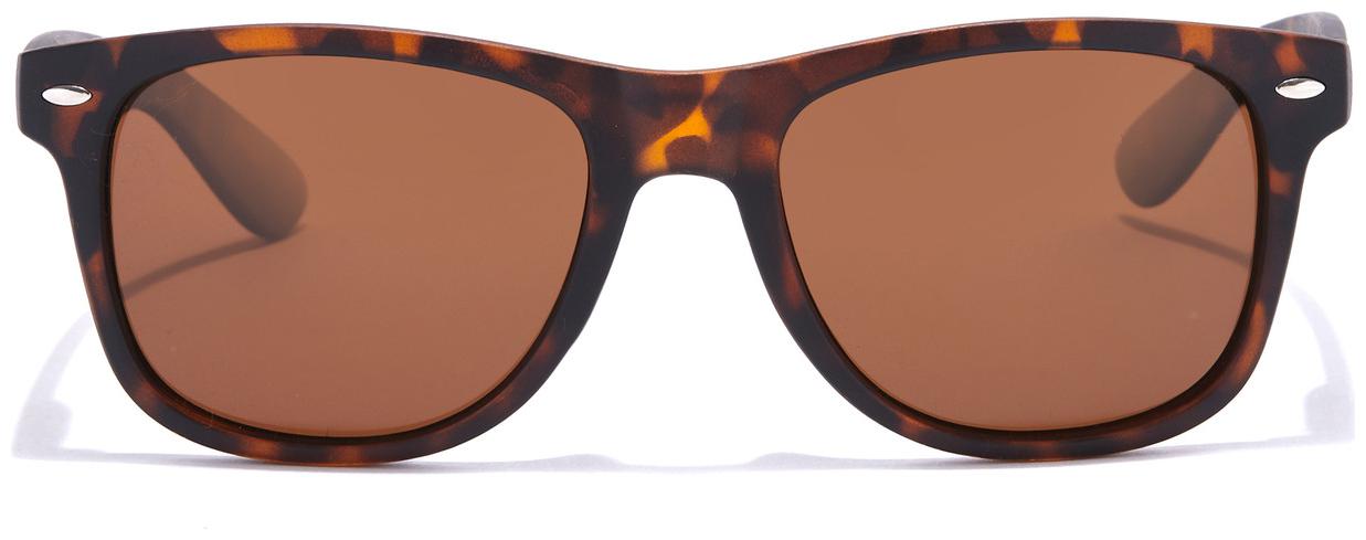 

Coolwinks Men Square Sunglasses