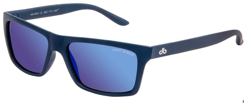 

David Blake Rectangular Gradient Polarized UV Protected Unisex Sunglass