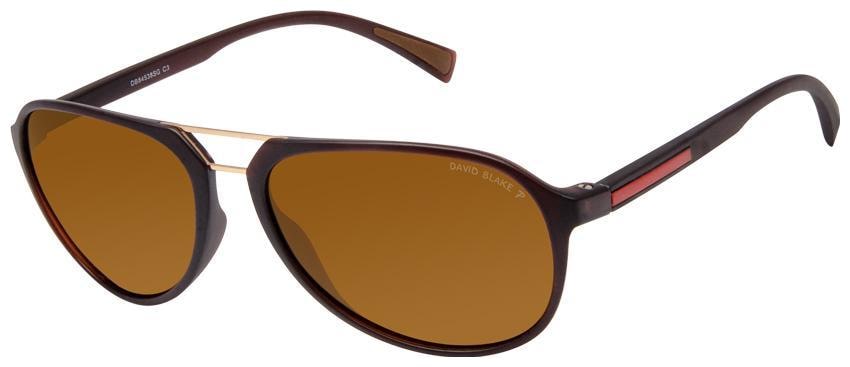 

David Blake Men Aviators Sunglasses