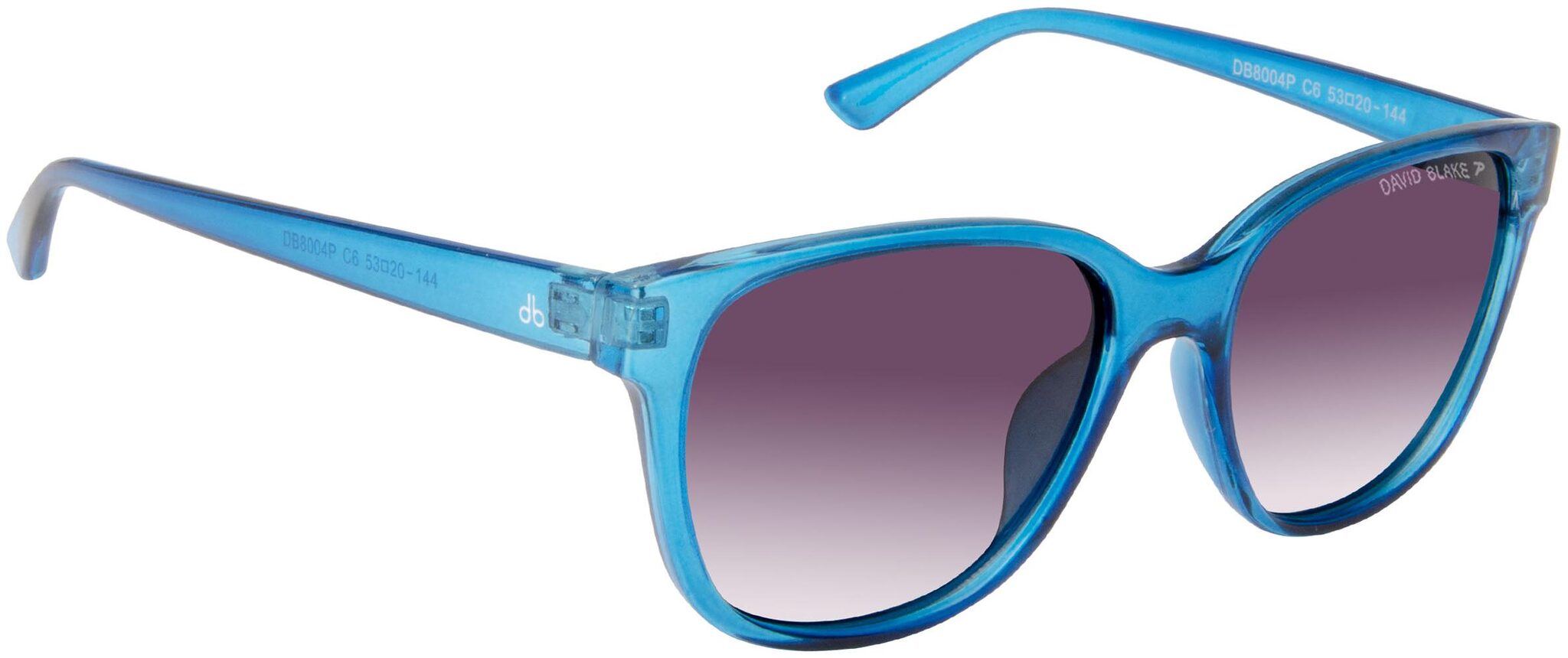 

David Blake Unisex Wayfarers Sunglasses