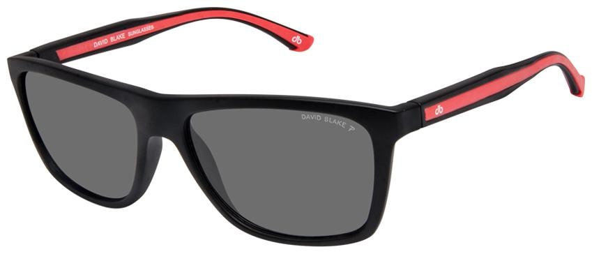 

David Blake Men Wayfarers Sunglasses