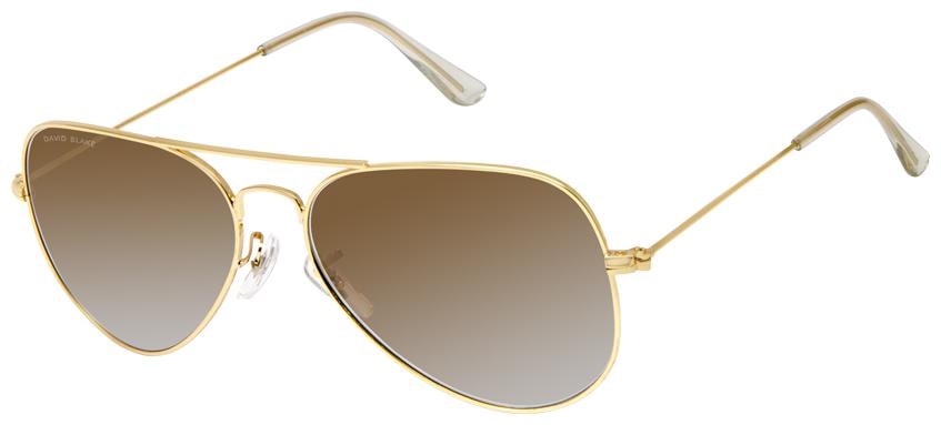 

David Blake Men Aviators Sunglasses