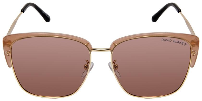 

David Blake Men Wayfarers Sunglasses