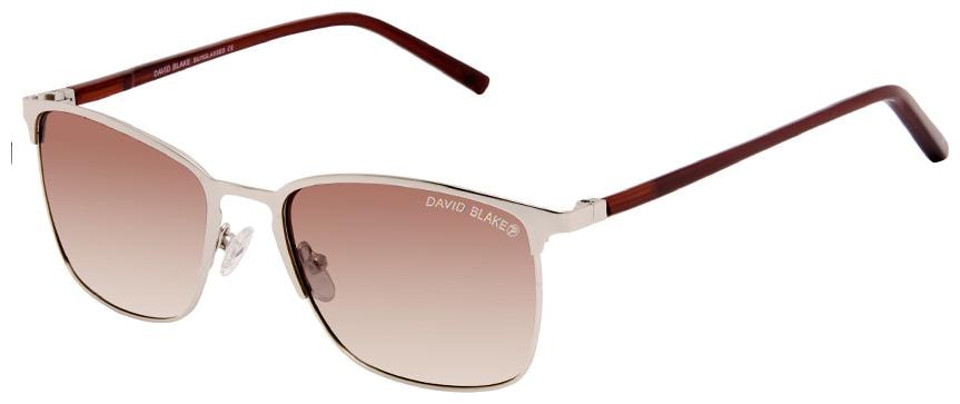 

David Blake Unisex Wayfarers Sunglasses