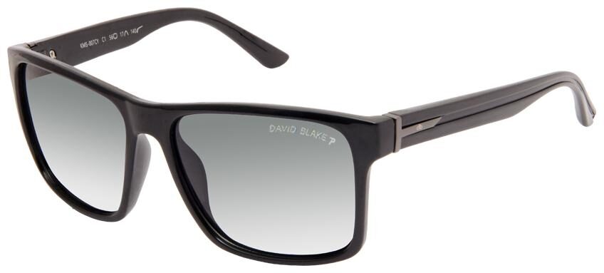 

David Blake Unisex Wayfarers Sunglasses