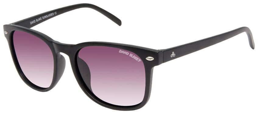

David Blake Unisex Wayfarers Sunglasses