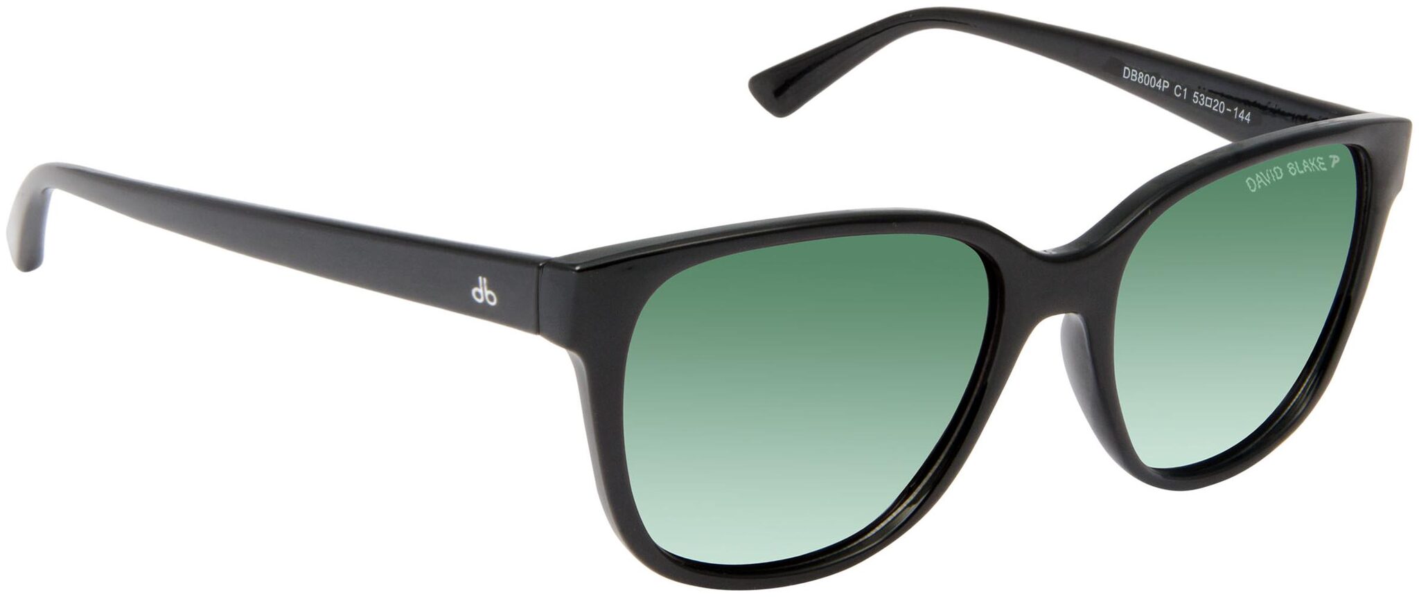 

David Blake Unisex Wayfarers Sunglasses