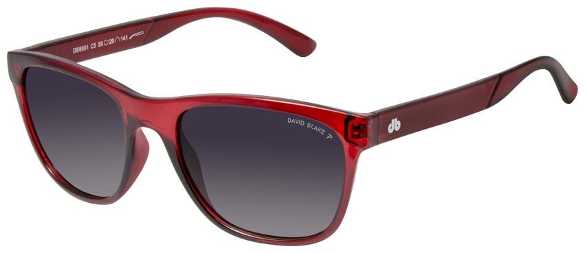 

David Blake Men Wayfarers Sunglasses