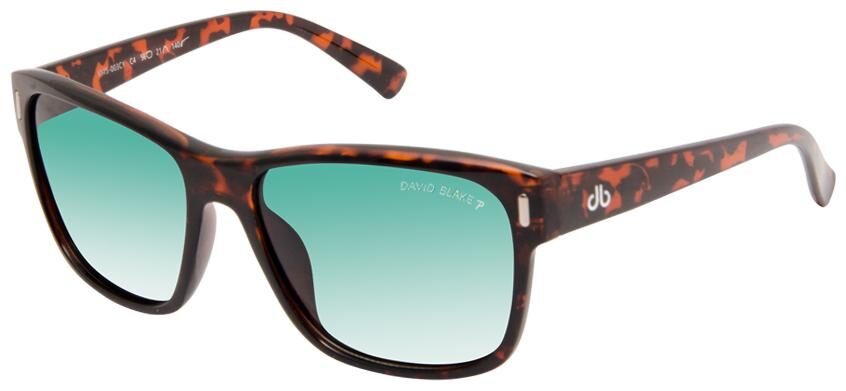 

David Blake Unisex Wayfarers Sunglasses