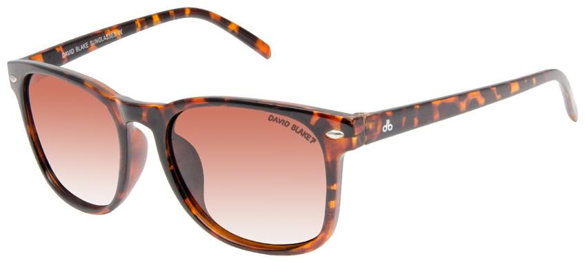 

David Blake Unisex Wayfarers Sunglasses