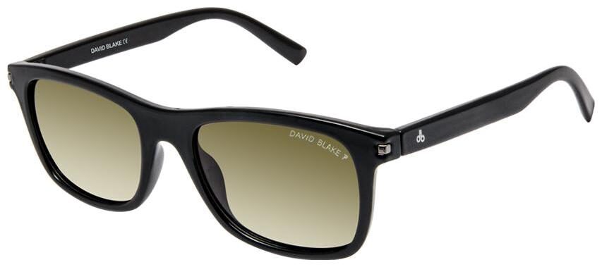 

David Blake Men Wayfarers Sunglasses