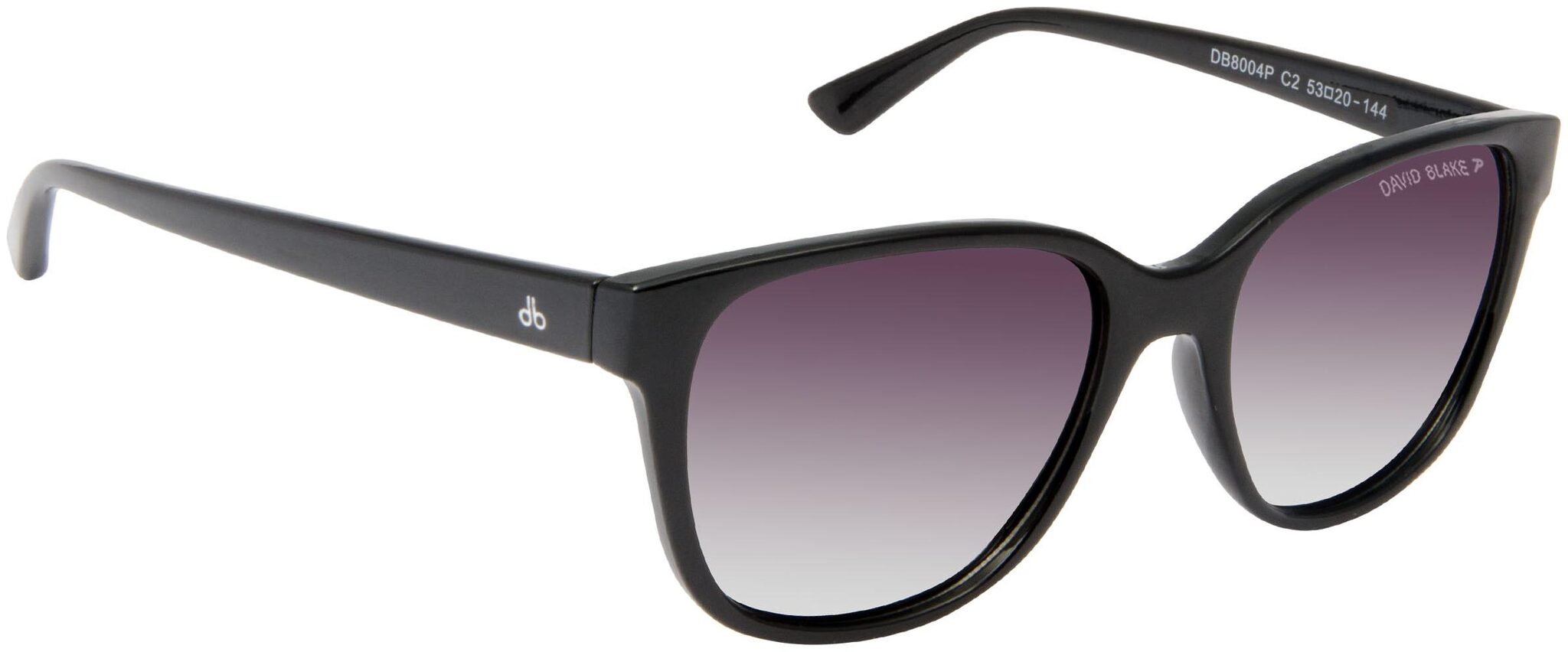 

David Blake Unisex Wayfarers Sunglasses
