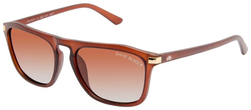 

David Blake Unisex Wayfarers Sunglasses