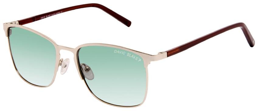 

David Blake Unisex Wayfarers Sunglasses