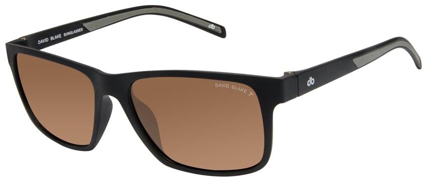 

David Blake Men Wayfarers Sunglasses