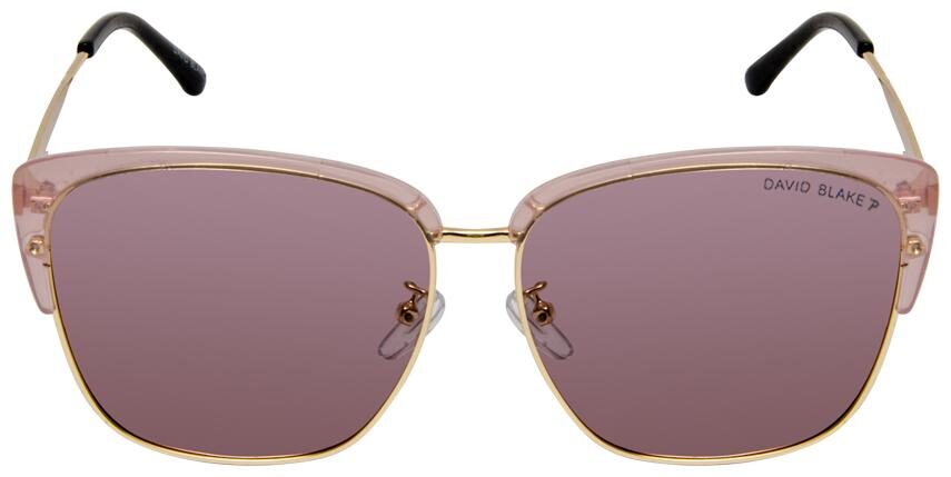 

David Blake Men Wayfarers Sunglasses