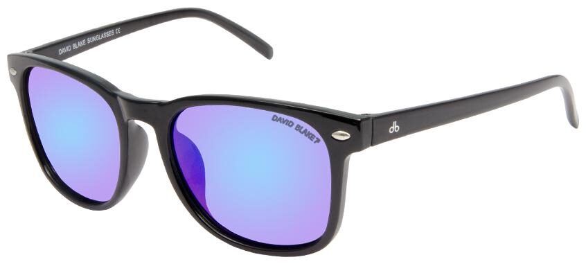 

David Blake Unisex Wayfarers Sunglasses