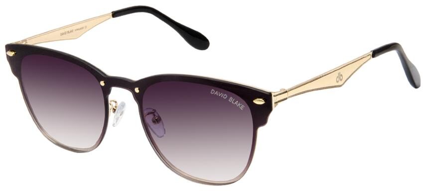 

David Blake Men Wayfarers Sunglasses