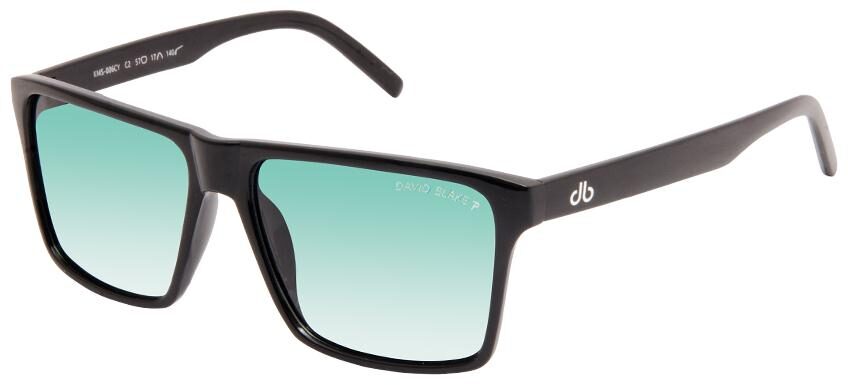 

David Blake Unisex Wayfarers Sunglasses