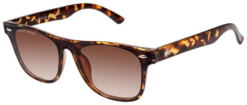 

David Blake Men Wayfarers Sunglasses