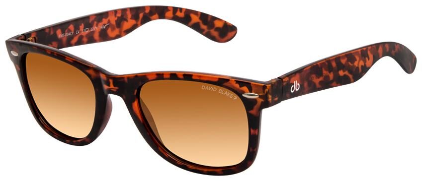 

David Blake Unisex Wayfarers Sunglasses