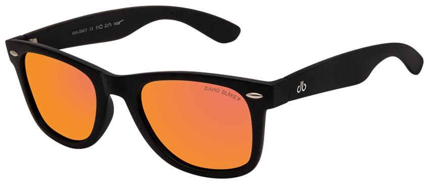 

David Blake Unisex Wayfarers Sunglasses