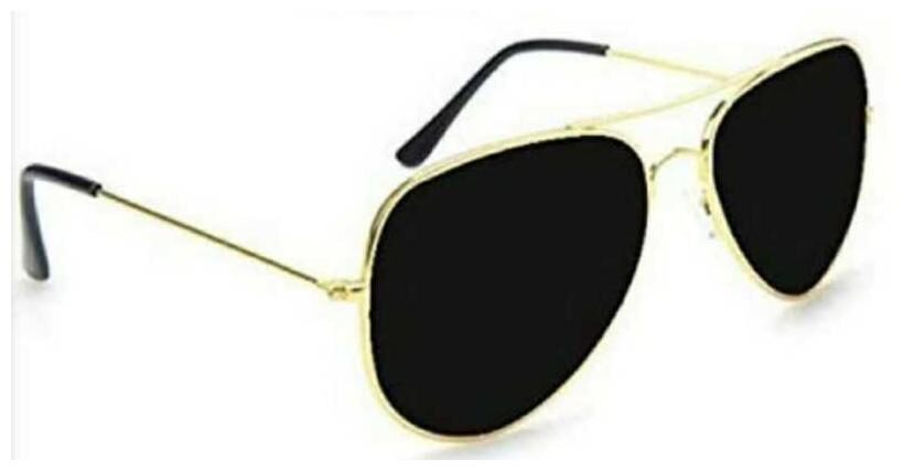 

DAVIDSON Unisex Aviators Sunglasses