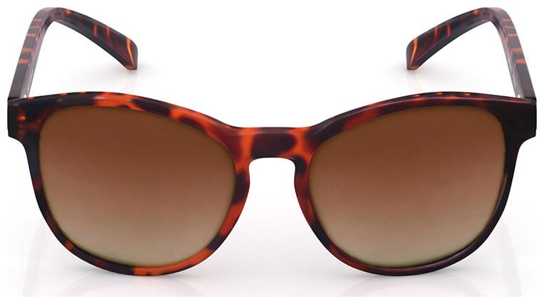 

Fastrack Oval Frames For Men