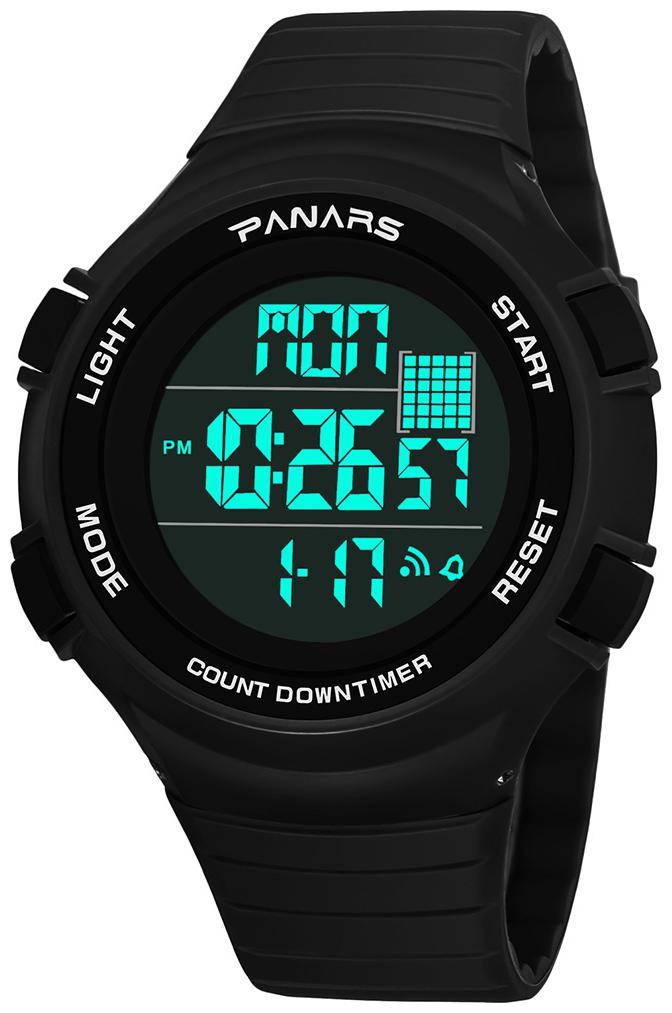 panars watch price