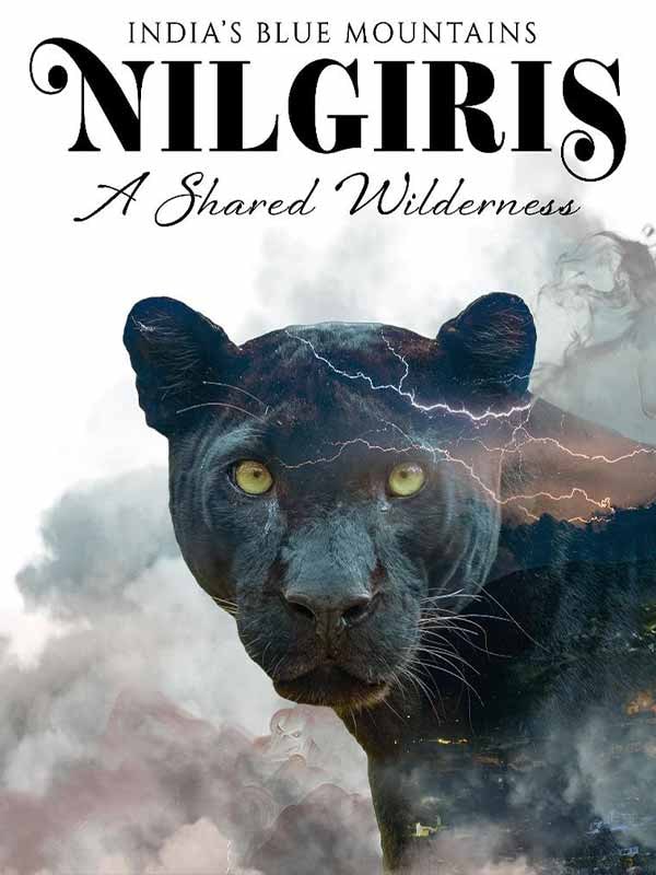 Nilgiris: A Shared Wilderness