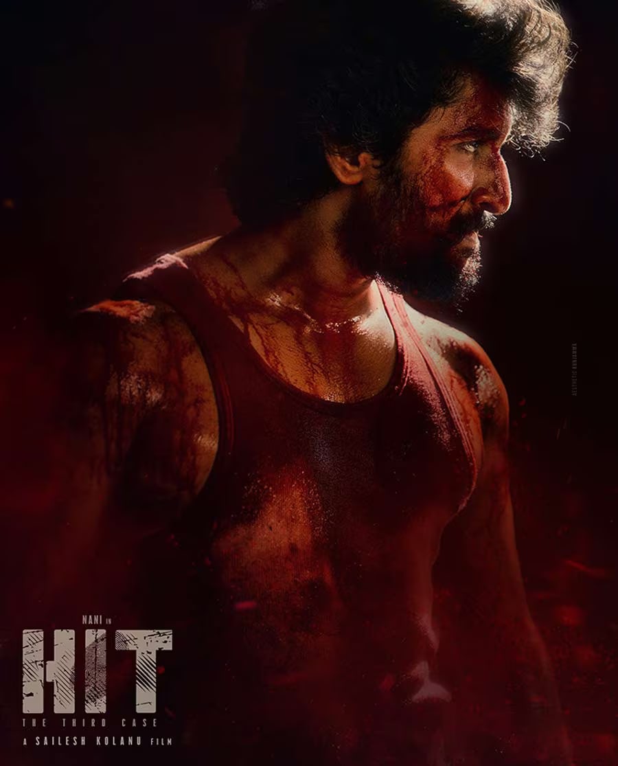 HIT: The 3rd Case Poster